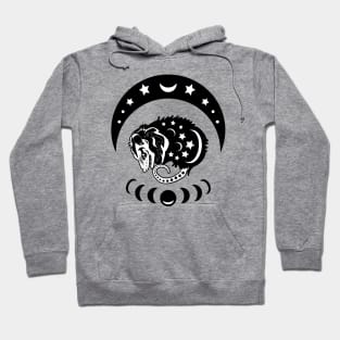 Witchy Possum Vibes Hoodie